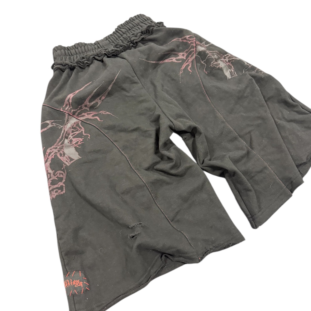 Scriptures Shorts